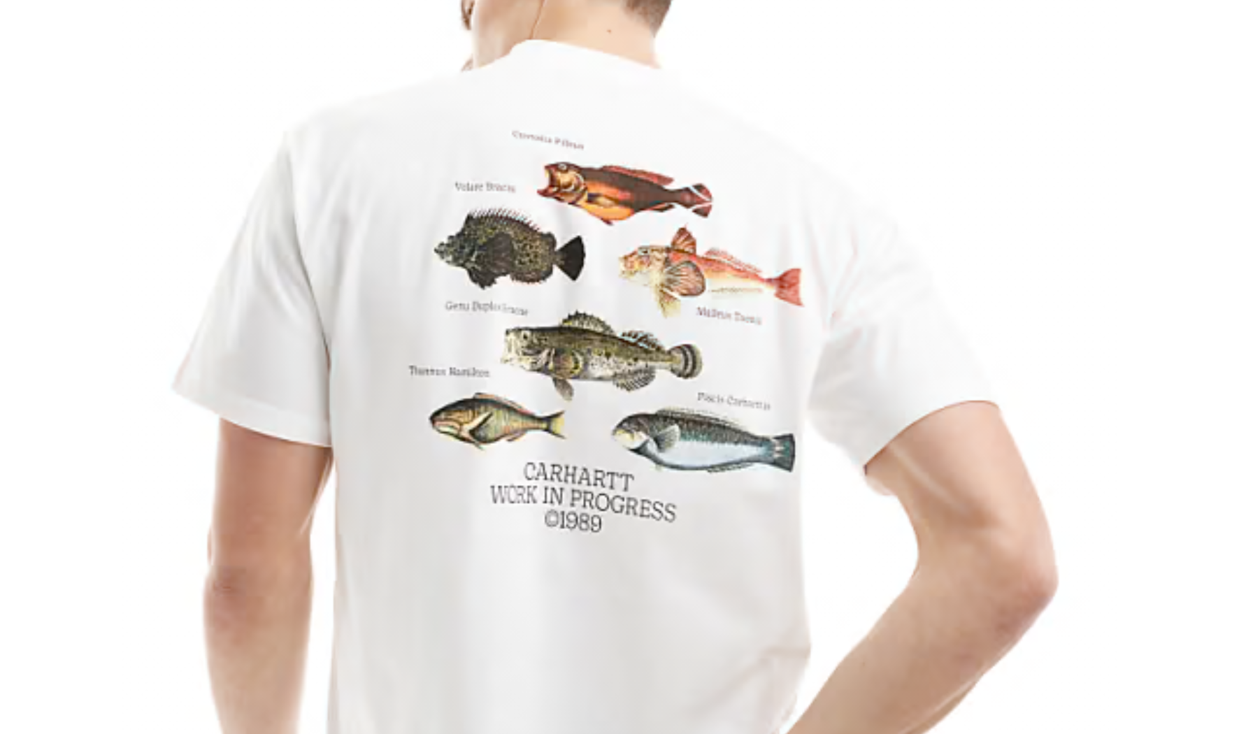 Collection Carhartt avec un print poisson