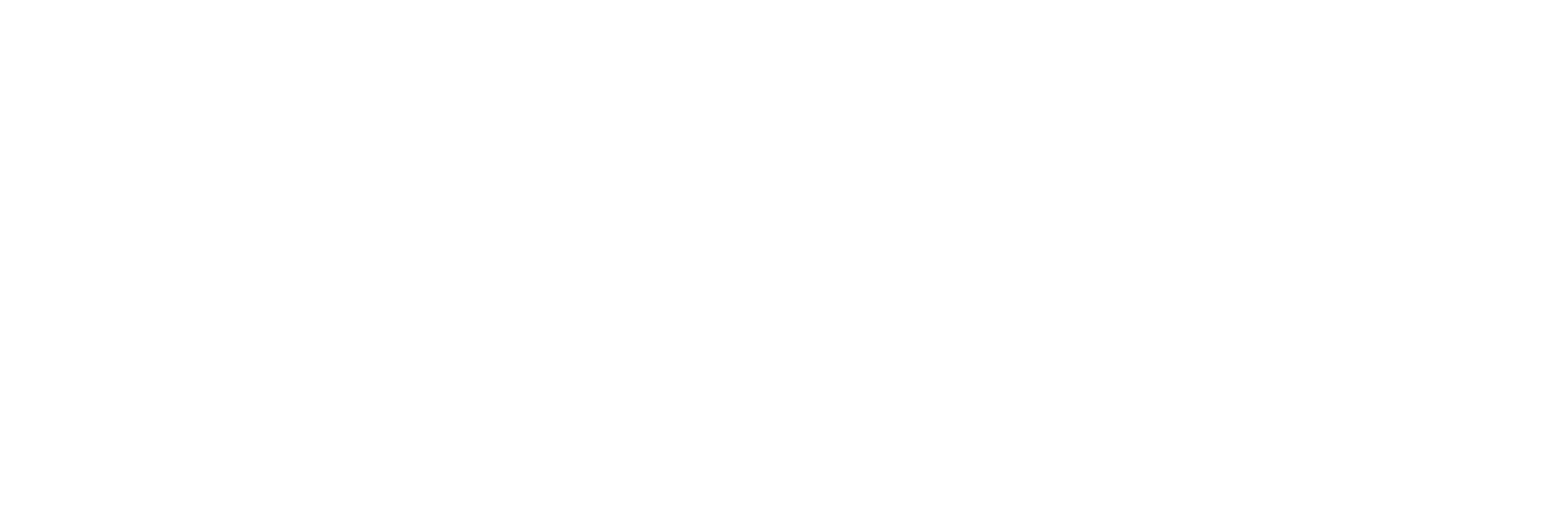 FLOTTE