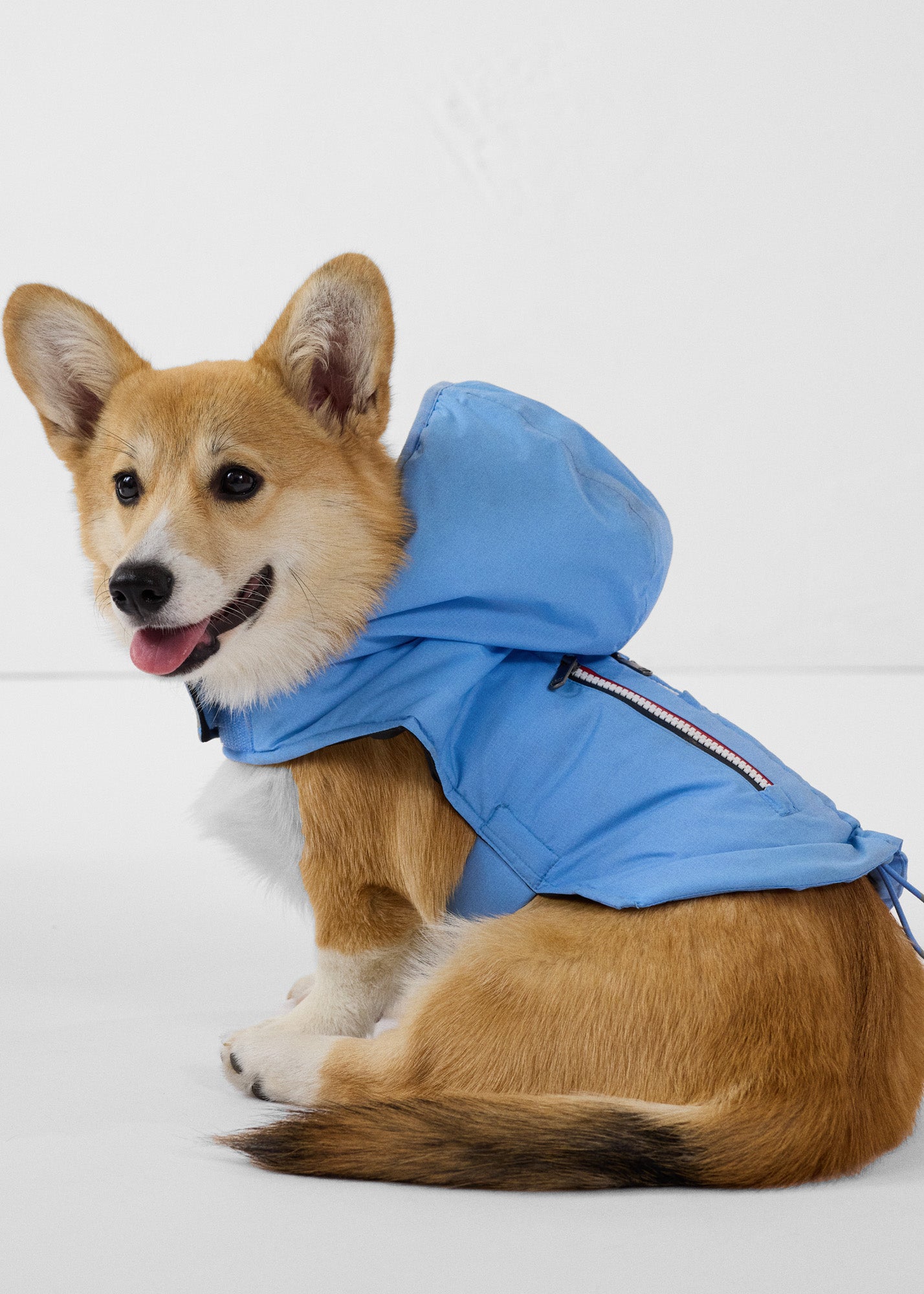 JOTT - Imperméable pour chien Bleu cristal Balto - Taille S