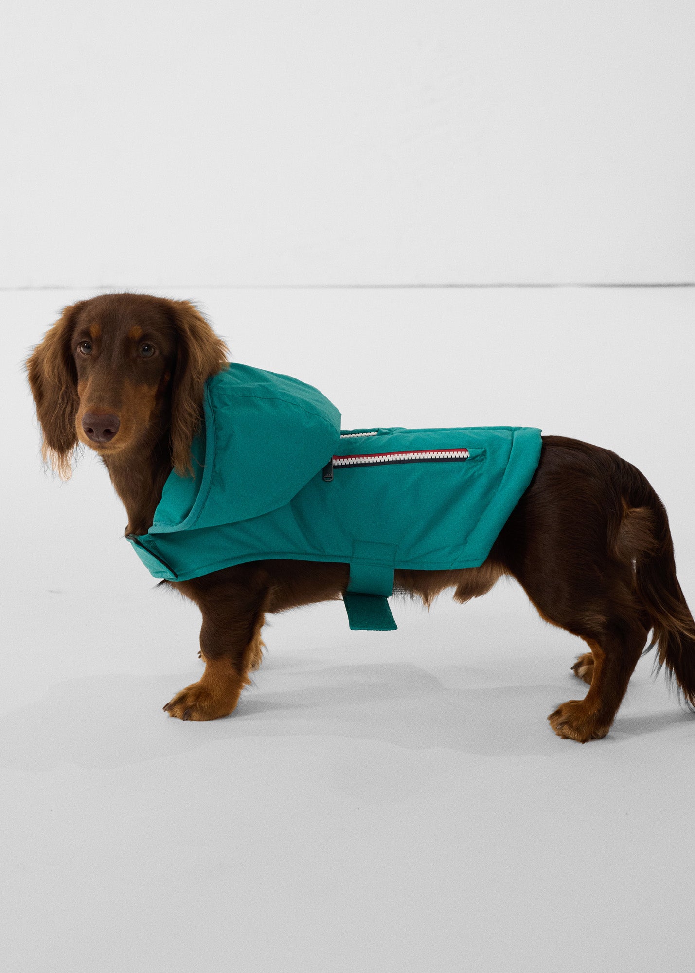 JOTT - Imperméable pour chien Vert persan Balto - Taille S