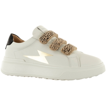 Baskets basses Vanessa Wu  bk2671