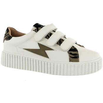 Baskets basses Vanessa Wu  bk2445