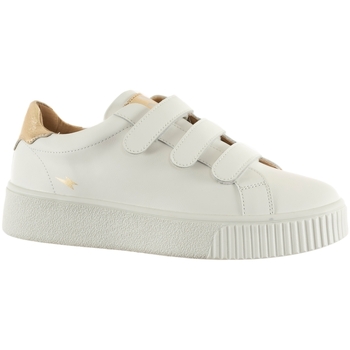 Baskets basses Vanessa Wu  bk2583