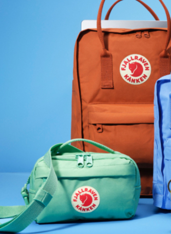 FJALLRAVEN